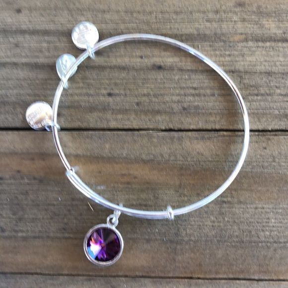 Alex and Ani Amethyst Birthstone Crystal Silver Adjustable Charm Bracelet! EUC - Picture 2 of 10
